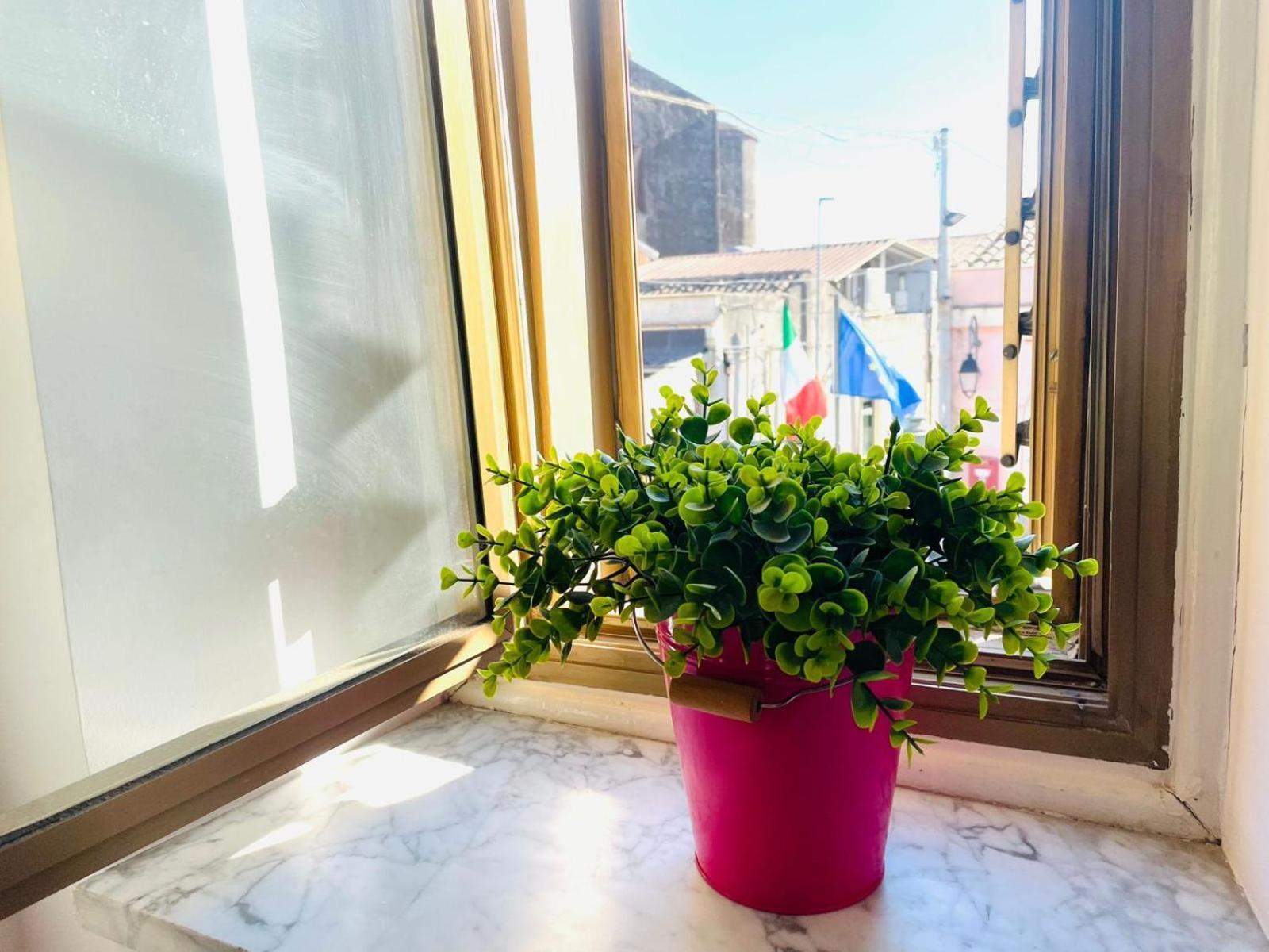 Bed and Breakfast La Dama Dell'Etna Nicolosi Zewnętrze zdjęcie
